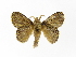  ( - INB0003423802)  @11 [ ] Copyright (2012) J. Montero Instituto Nacional de Biodiversidad