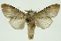  ( - INB0003433851)  @13 [ ] Copyright (2012) Juan Mata Lorenzen Unspecified