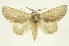  ( - INB0003433857)  @11 [ ] Copyright (2012) Juan Mata Lorenzen Unspecified