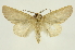  ( - INB0003433857)  @11 [ ] Copyright (2012) Juan Mata Lorenzen Unspecified