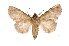  ( - INB0003433994)  @11 [ ] Copyright (2012) I. Chacon Instituto Nacional de Biodiversidad