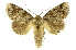  ( - INB0003434634)  @14 [ ] Copyright (2012) Juan Mata Lorenzen Unspecified