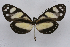  ( - INB0003435561)  @12 [ ] CreativeCommons - Attribution Non-Commercial Share-Alike (2012) National Biodiversity Institute of Costa Rica National Biodiversity Institute of Costa Rica