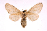  ( - INB0003444896)  @14 [ ] Copyright (2012) J. Montero Instituto Nacional de Biodiversidad