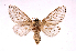  ( - INB0003445018)  @14 [ ] Copyright (2012) J. Montero Instituto Nacional de Biodiversidad