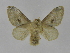  ( - INB0003445024)  @11 [ ] Copyright (2012) J. Montero Instituto Nacional de Biodiversidad