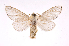  ( - INB0003445053)  @14 [ ] Copyright (2012) J. Montero Instituto Nacional de Biodiversidad