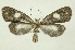  ( - INB0003445491)  @11 [ ] Copyright (2012) Juan Mata Lorenzen Unspecified