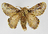  ( - INB0003445880)  @11 [ ] Copyright (2012) J. Montero Instituto Nacional de Biodiversidad