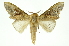  ( - INB0003445979)  @11 [ ] Copyright (2012) Juan Mata Lorenzen Unspecified
