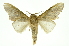  ( - INB0003445979)  @11 [ ] Copyright (2012) Juan Mata Lorenzen Unspecified