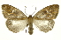  ( - INB0003446000)  @11 [ ] Copyright (2012) Juan Mata Lorenzen Unspecified