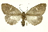  ( - INB0003446000)  @11 [ ] Copyright (2012) Juan Mata Lorenzen Unspecified