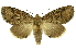  ( - INB0003446747)  @11 [ ] Copyright (2012) Juan Mata Lorenzen Unspecified