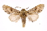  ( - INB0003459253)  @14 [ ] Copyright (2012) I. Chacon Instituto Nacional de Biodiversidad