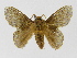  ( - INB0003466629)  @11 [ ] Copyright (2012) J. Montero Instituto Nacional de Biodiversidad