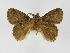 ( - INB0003466631)  @11 [ ] Copyright (2012) J. Montero Instituto Nacional de Biodiversidad