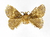  ( - INB0003468685)  @12 [ ] Copyright (2012) J. Montero Instituto Nacional de Biodiversidad