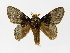  ( - INB0003469300)  @11 [ ] Copyright (2012) J. Montero Instituto Nacional de Biodiversidad