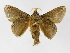  ( - INB0003469316)  @14 [ ] Copyright (2012) J. Montero Instituto Nacional de Biodiversidad