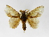  ( - INB0003469384)  @11 [ ] Copyright (2012) J. Montero Instituto Nacional de Biodiversidad
