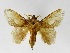  ( - INB0003469384)  @11 [ ] Copyright (2012) J. Montero Instituto Nacional de Biodiversidad