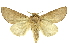  ( - INB0003485528)  @11 [ ] Copyright (2012) Juan Mata Lorenzen INBio