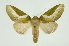  ( - INB0003485931)  @14 [ ] Copyright (2012) Juan Mata Lorenzen Unspecified
