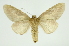  ( - INB0003485931)  @13 [ ] Copyright (2012) Juan Mata Lorenzen Unspecified