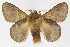  ( - INB0003487004)  @13 [ ] Copyright (2012) J. Montero Instituto Nacional de Biodiversidad
