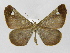  ( - INB0003487363)  @11 [ ] Copyright (2012) J. Montero Instituto Nacional de Biodiversidad
