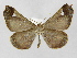  ( - INB0003487363)  @11 [ ] Copyright (2012) J. Montero Instituto Nacional de Biodiversidad