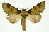  ( - INB0003495489)  @11 [ ] Copyright (2012) Juan Mata Lorenzen Unspecified