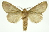  ( - INB0003495489)  @11 [ ] Copyright (2012) Juan Mata Lorenzen Unspecified