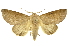  ( - INB0003495824)  @11 [ ] Copyright (2012) Juan Mata Lorenzen INBio