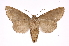  ( - INB0003496043)  @11 [ ] Copyright (2012) I. Chacon Instituto Nacional de Biodiversidad