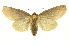  ( - INB0003496144)  @14 [ ] Copyright (2012) J. Montero INBio