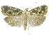  ( - INB0003520621)  @12 [ ] CreativeCommons - Attribution Non-Commercial Share-Alike (2012) National Biodiversity Institute of Costa Rica National Biodiversity Institute of Costa Rica