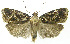  ( - INB0003520623)  @14 [ ] CreativeCommons - Attribution Non-Commercial Share-Alike (2012) National Biodiversity Institute of Costa Rica National Biodiversity Institute of Costa Rica