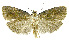  ( - INB0003520623)  @13 [ ] CreativeCommons - Attribution Non-Commercial Share-Alike (2012) National Biodiversity Institute of Costa Rica National Biodiversity Institute of Costa Rica