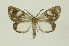  ( - INB0003520665)  @11 [ ] Copyright (2012) Juan Mata Lorenzen Unspecified