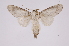  ( - INB0003521077)  @12 [ ] Copyright (2012) I. Chacon Instituto Nacional de Biodiversidad