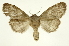  ( - INB0003521197)  @13 [ ] Copyright (2012) Juan Mata Lorenzen Unspecified