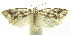  ( - INB0003521605)  @12 [ ] CreativeCommons - Attribution Non-Commercial Share-Alike (2012) National Biodiversity Institute of Costa Rica National Biodiversity Institute of Costa Rica