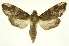  ( - INB0003527491)  @11 [ ] Copyright (2012) Juan Mata Lorenzen Unspecified