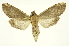  ( - INB0003527491)  @11 [ ] Copyright (2012) Juan Mata Lorenzen Unspecified