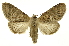  ( - INB0003527493)  @11 [ ] Copyright (2012) Juan Mata Lorenzen Unspecified