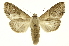  ( - INB0003527502)  @11 [ ] Copyright (2012) Juan Mata Lorenzen Unspecified
