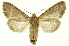  ( - INB0003527502)  @11 [ ] Copyright (2012) Juan Mata Lorenzen Unspecified