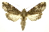  ( - INB0003527503)  @11 [ ] Copyright (2012) Juan Mata Lorenzen Unspecified